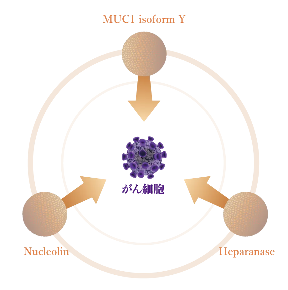 がんの性質（遺伝子）に合わせてアプローチする次世代医薬