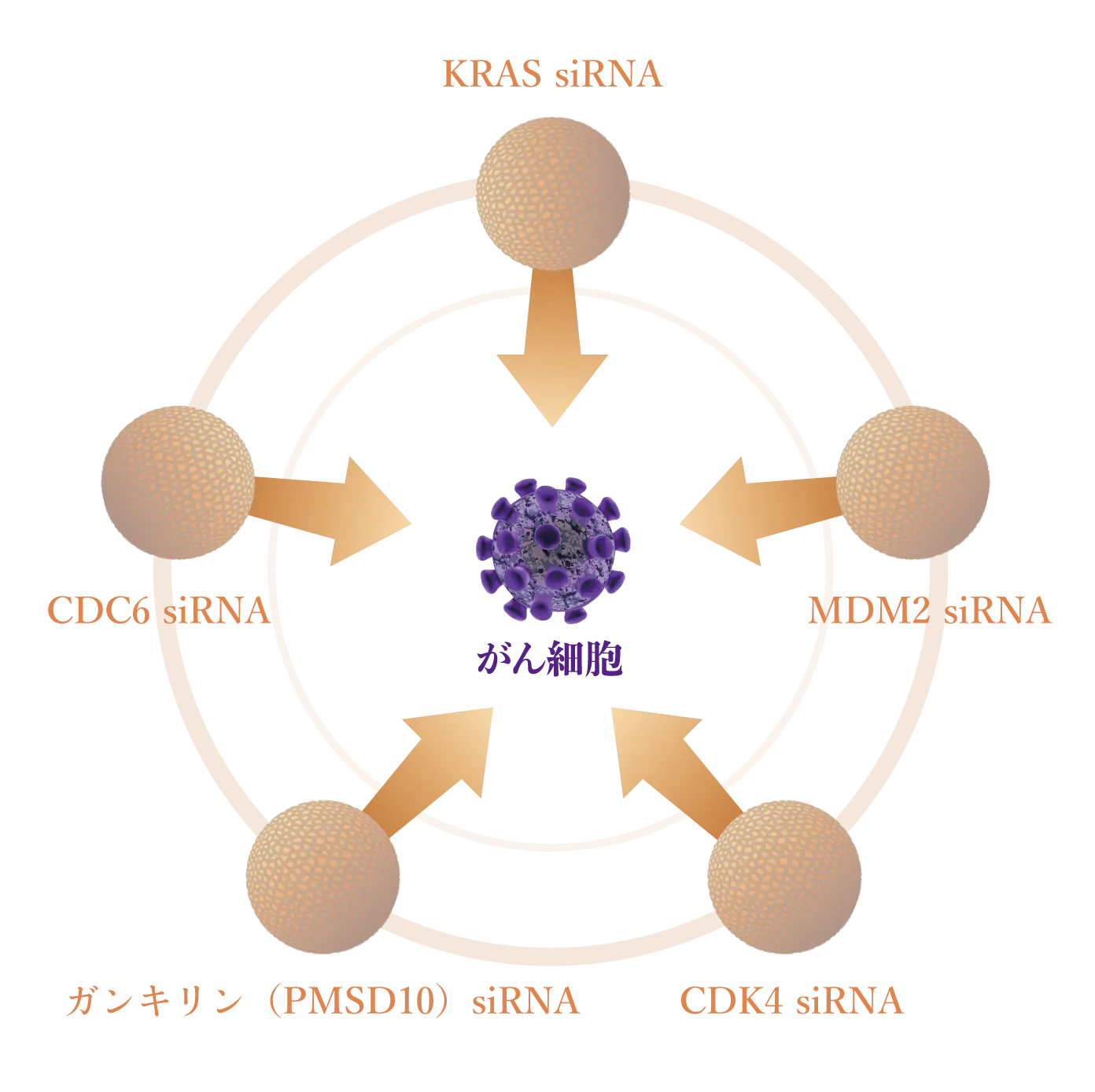 がんの性質（遺伝子）に合わせてアプローチする次世代医薬