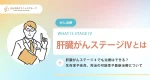 肝臓がんステージ4でも治療はできる？生存率や余命、完治の可能性や最新治療について