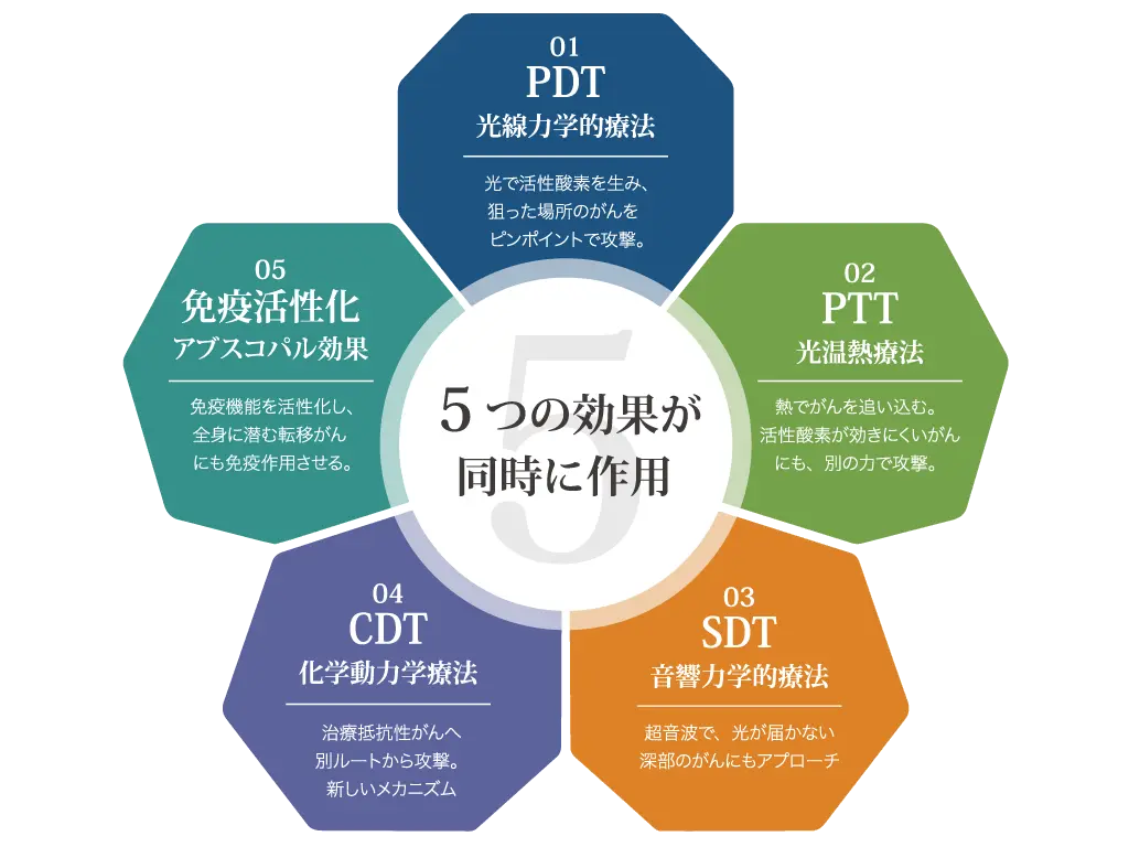 HEMIN含有IR780リポソームで目指す5つの作用。PDT、PTT、SDT、CDT、免疫活性化の概念図。
