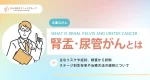 腎盂がん・尿管がんの主なリスクや症状、検査から診断、ステージ別生存率や治療方法の選択について